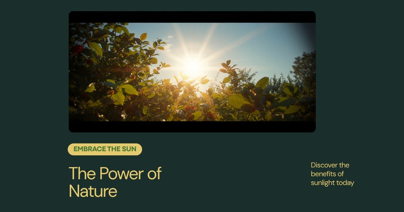 Bright summer solstice sunrise over a green landscape, peak circadian health and natural light