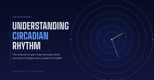 What Is Circadian Rhythm and Why Does It Matter for Your Health?